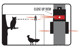 Illustration of owl being deterred from chicken coop by Nite Guard lights