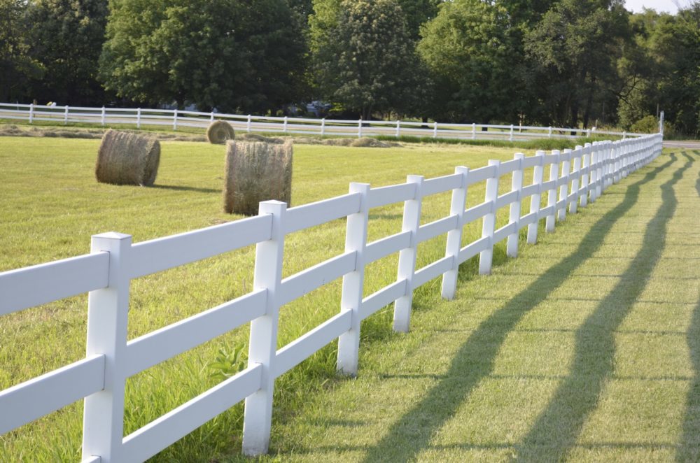 Four Ways To Keep Animals From Eating Your Fall Harvest Nite Guard