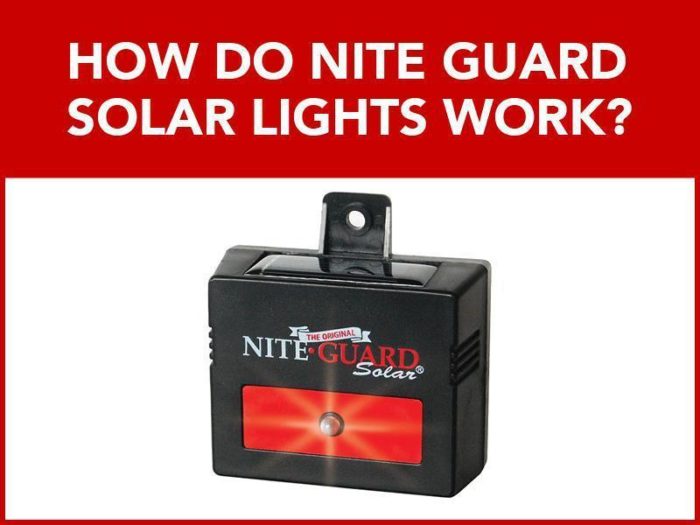 Photo of Nite Guard solar light with text: How Do Nite Guard Solar Lights Work?