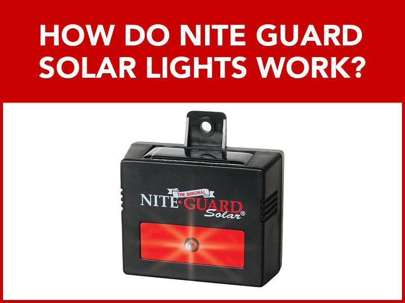 How Do Nite Guard Solar Lights Work