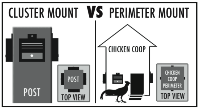 A Story of How Nite Guard Solar Protects Chickens from Coyote