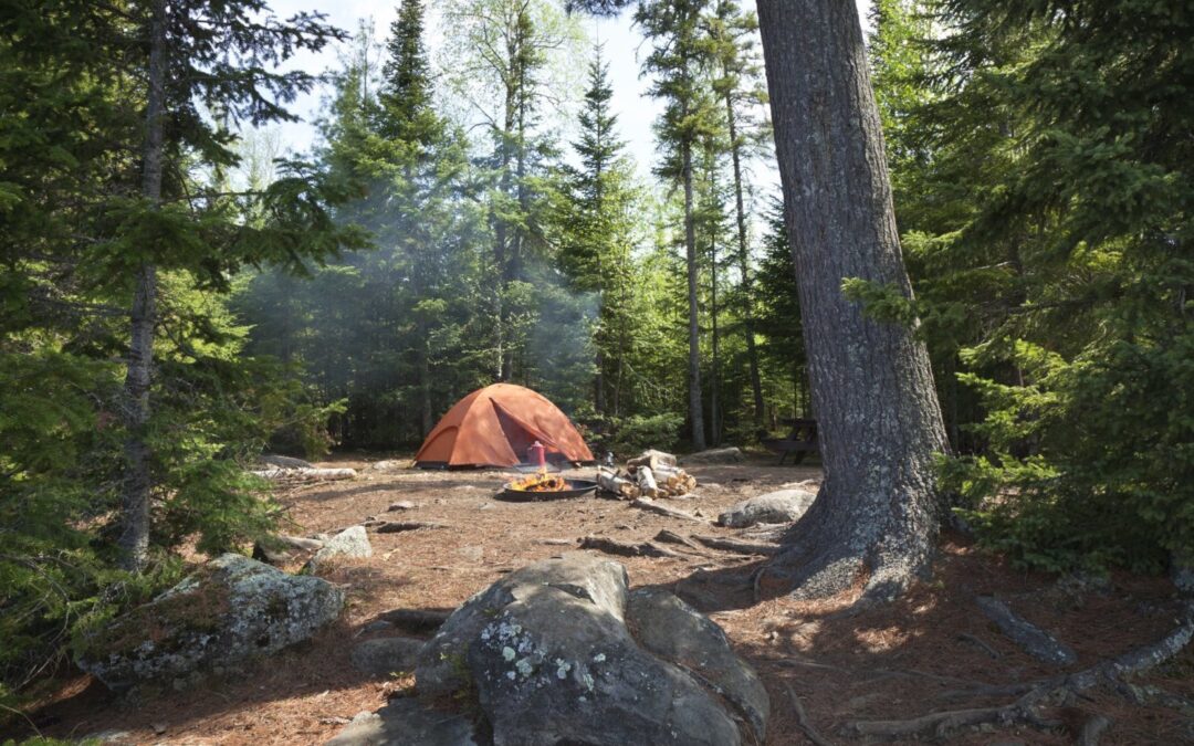 Keeping Your Campsite Protected Against Wild Animals