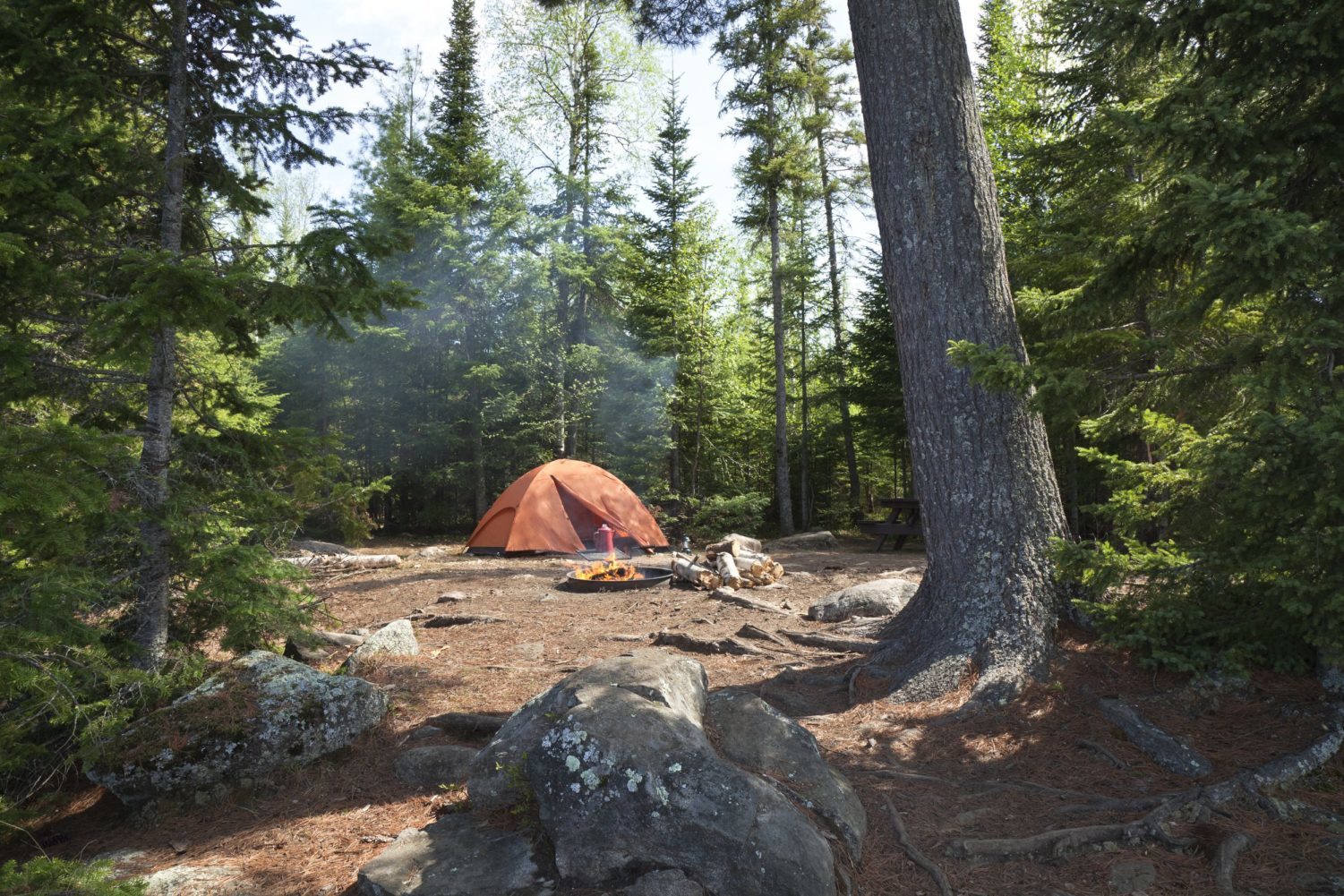 Keeping Your Campsite Protected Against Wild Animals