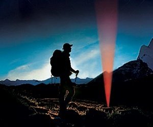 How to Protect Yourself from Bears when Camping