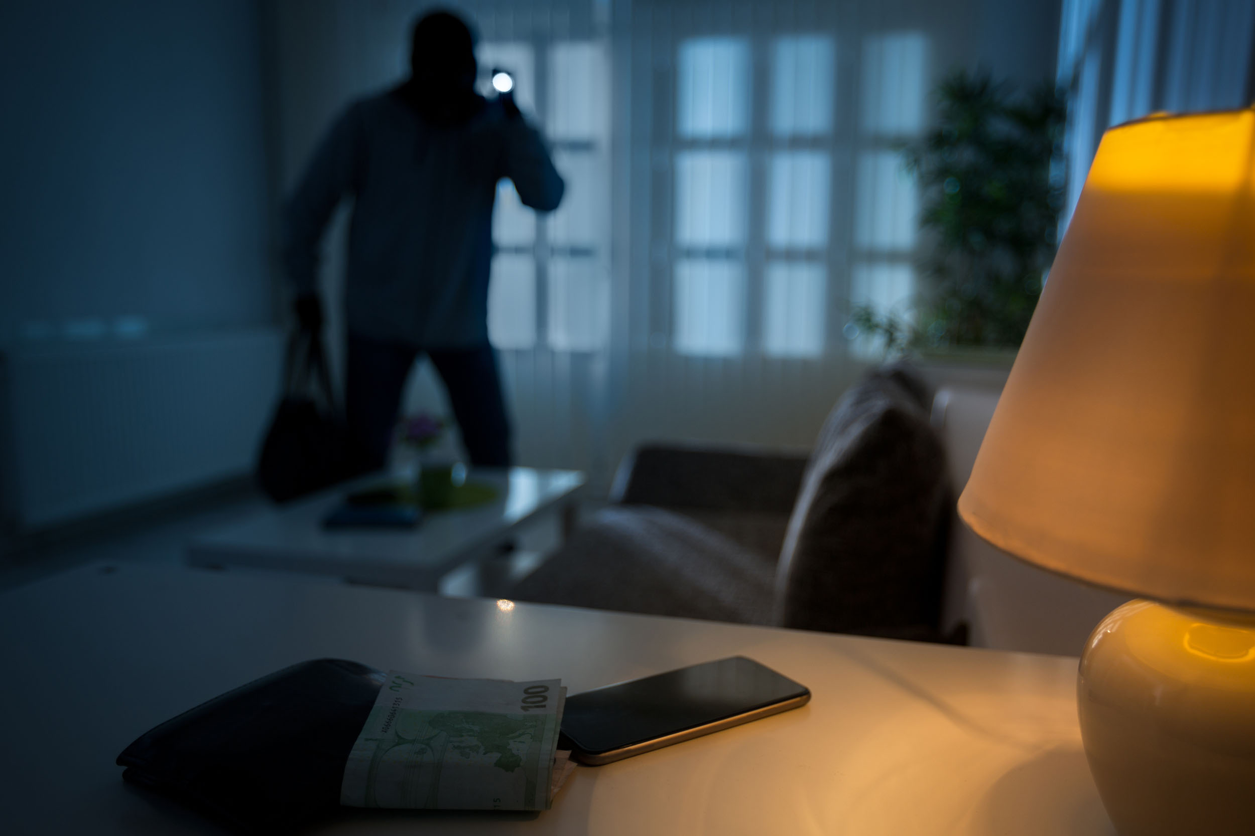 Five Simple Ways to Ward Off Home Intruders