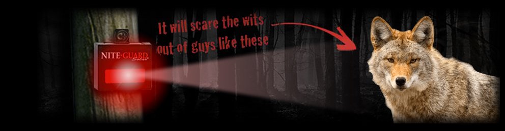 How to Keep Coyote Away with Nite Guard Solar