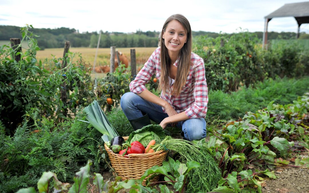 Protecting Your Garden Using Nite Guard