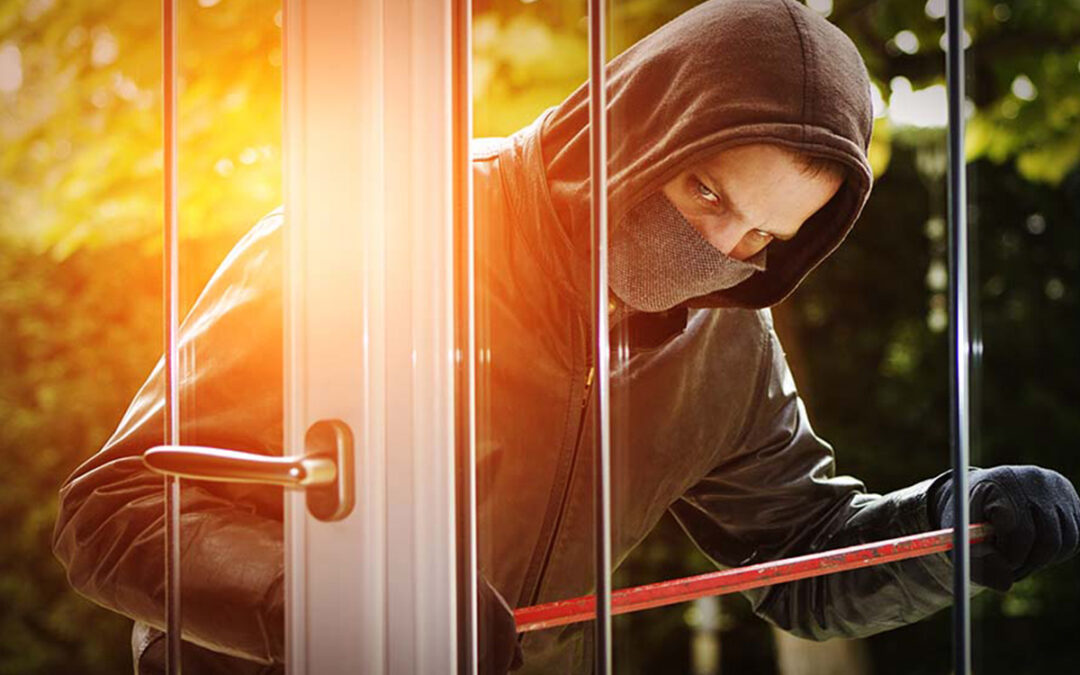 Deter Home Intruders with Nite Guard