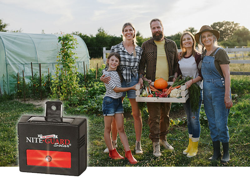 Why You Should Use and Trust Nite Guard