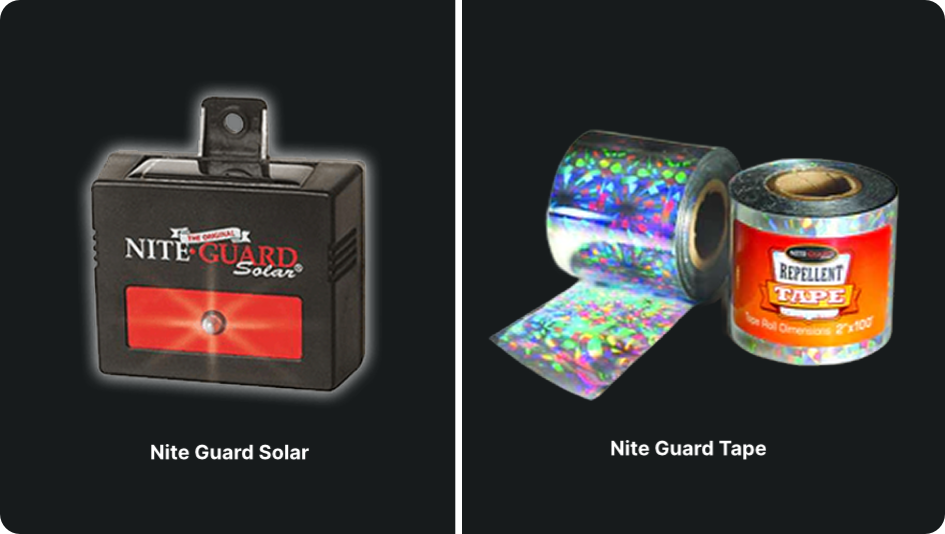 Nite Guard Solar And Tape Image