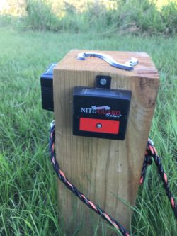 Keep Away Wild Boars: A Success Story