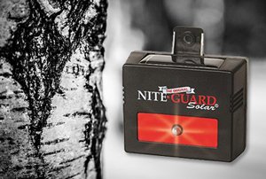 Top Benefits of Using Nite Guard Solar in the Winter